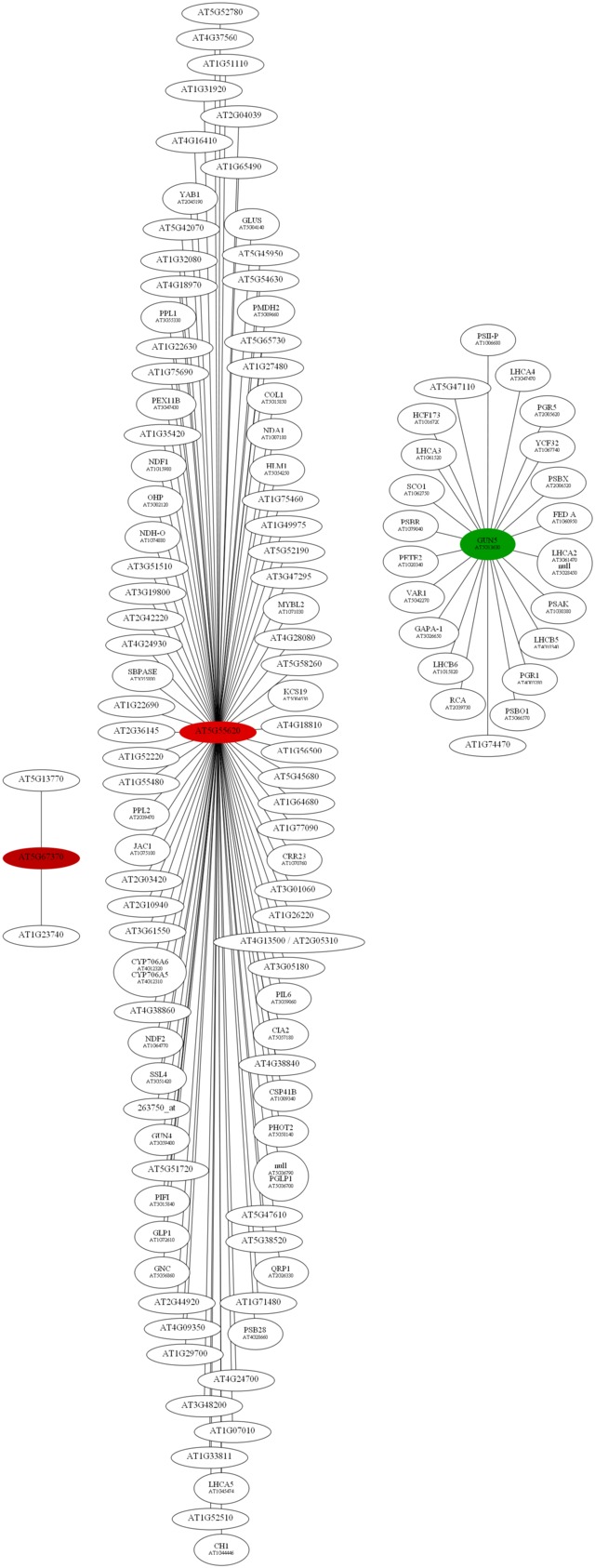 filename.txt fishing example examplemanual