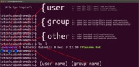 Filename.txt linux permissions chmod umask