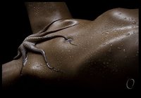 Free Hardcore Porn Download posts free black gay porn summer fields star