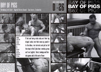 Bondage Hardcore Sex posts bay pigs bondage