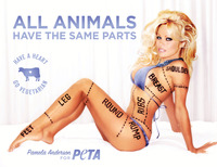 Choise Hardcore P Porn Would peta pam anderson parts feminist vegans opinions porn stunt